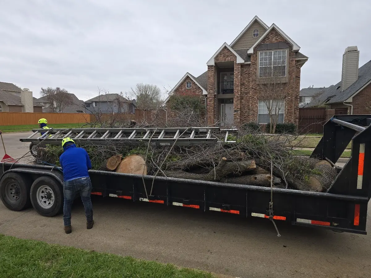 Expert Lot Clearing with proper safety equipment in Leola